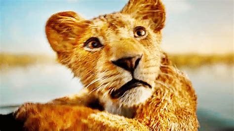 1xbet com movies lion king|The Lion King Official Trailer .